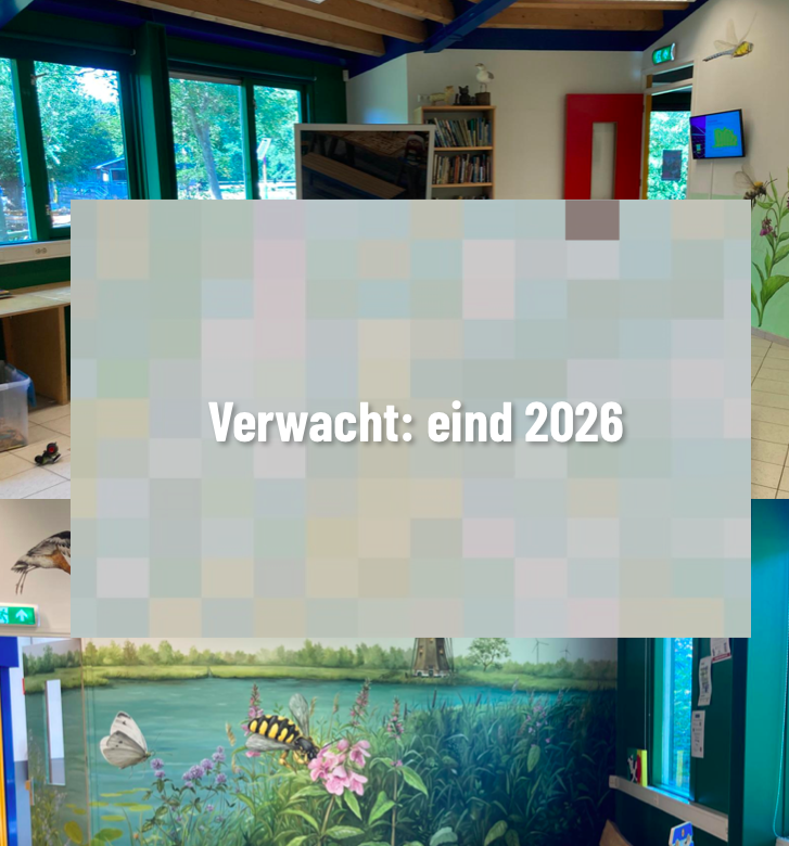 Design for exhibition